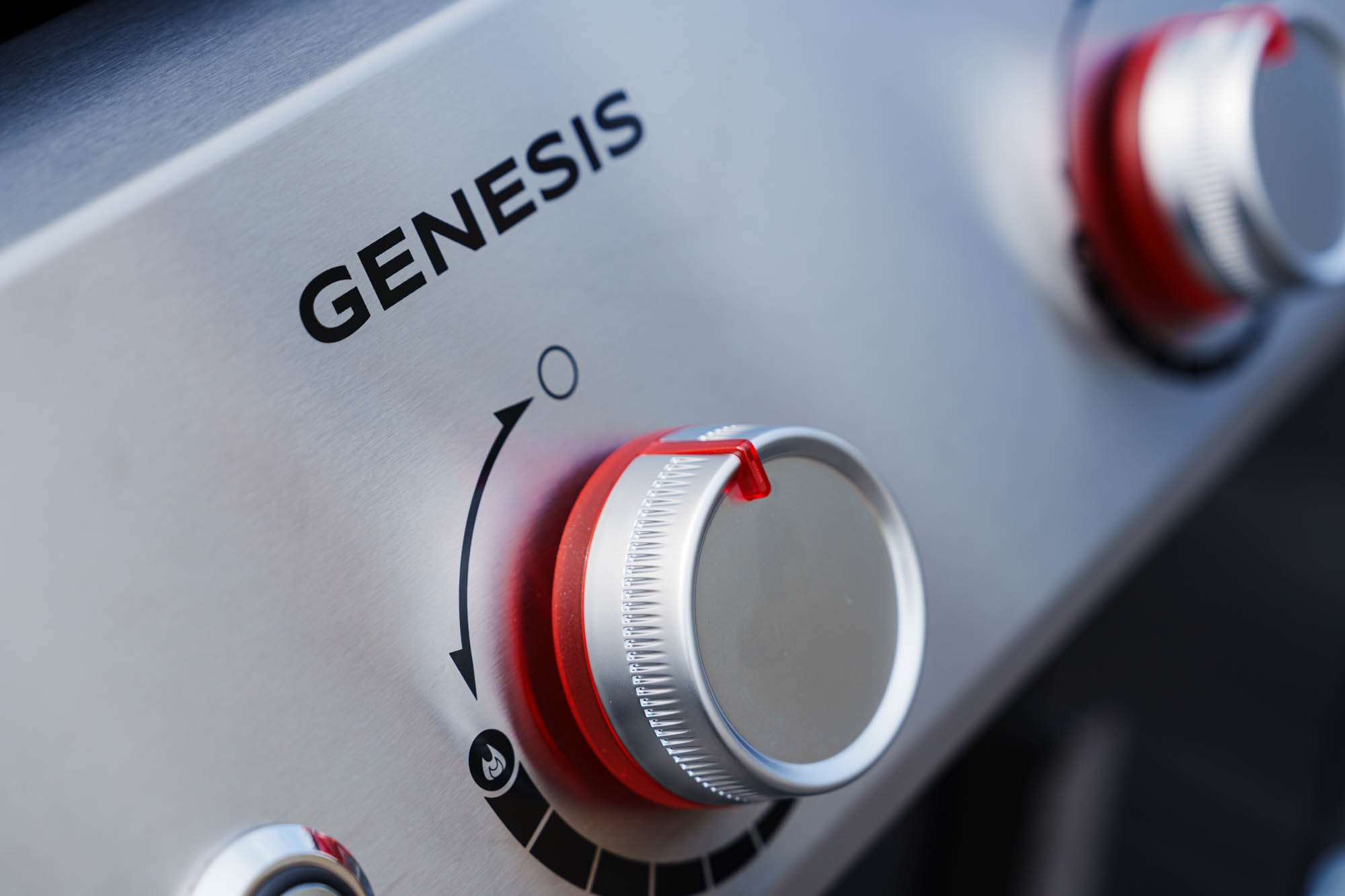 Weber Genesis E-435 大型ガスグリル 3